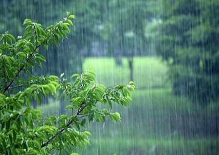 کاهش 83 درصدی نزولات آسمانی در کردستان