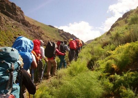 با تورهای گردشگری غیر مجاز برخورد می شود