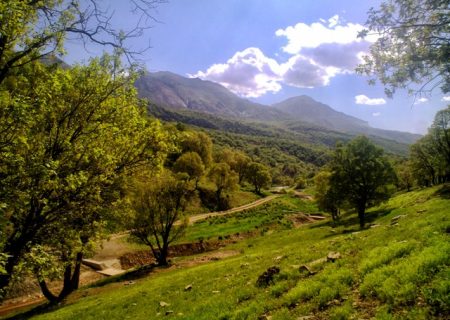 فراخوان نخستین جشنواره منابع طبیعی و رسانه کردستان