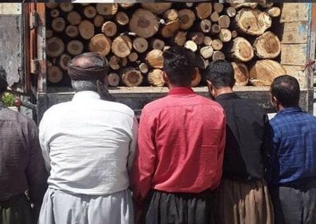 دستگیری عاملان قطع درختان جنگلی در بخش حسین‌آباد سنندج