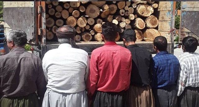 دستگیری عاملان قطع درختان جنگلی در بخش حسین‌آباد سنندج