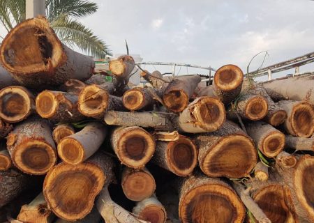 کشف محموله چوب جنگلی قاچاق در مریوان