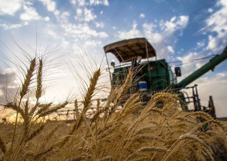 پرداخت بیش از ۱۳ هزار و ۹۰۶ میلیارد ریال مطالبه گندمکاران کردستانی