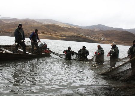 آغاز صید ماهی در منابع آبی کردستان