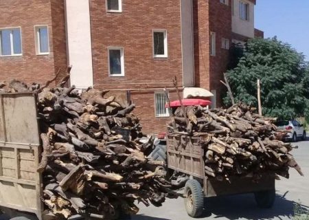 ضبط بیش از ۱۰ تن چوب قاچاق در مریوان