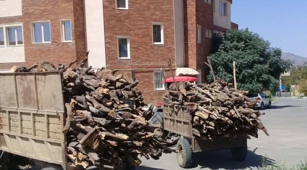 ضبط بیش از ۱۰ تن چوب قاچاق در مریوان