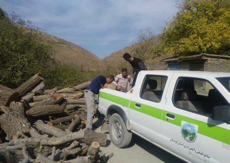 کشف بیش از ۱۵ تن مقطوعات چوبی قاچاق در سروآباد