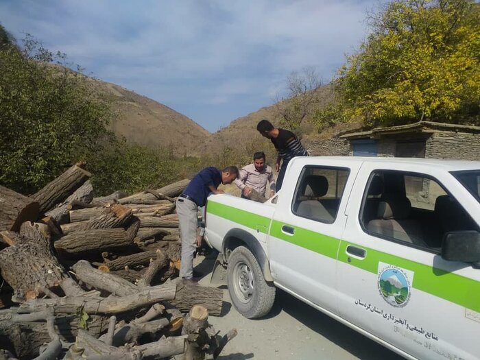 کشف بیش از ۱۵ تن مقطوعات چوبی قاچاق در سروآباد