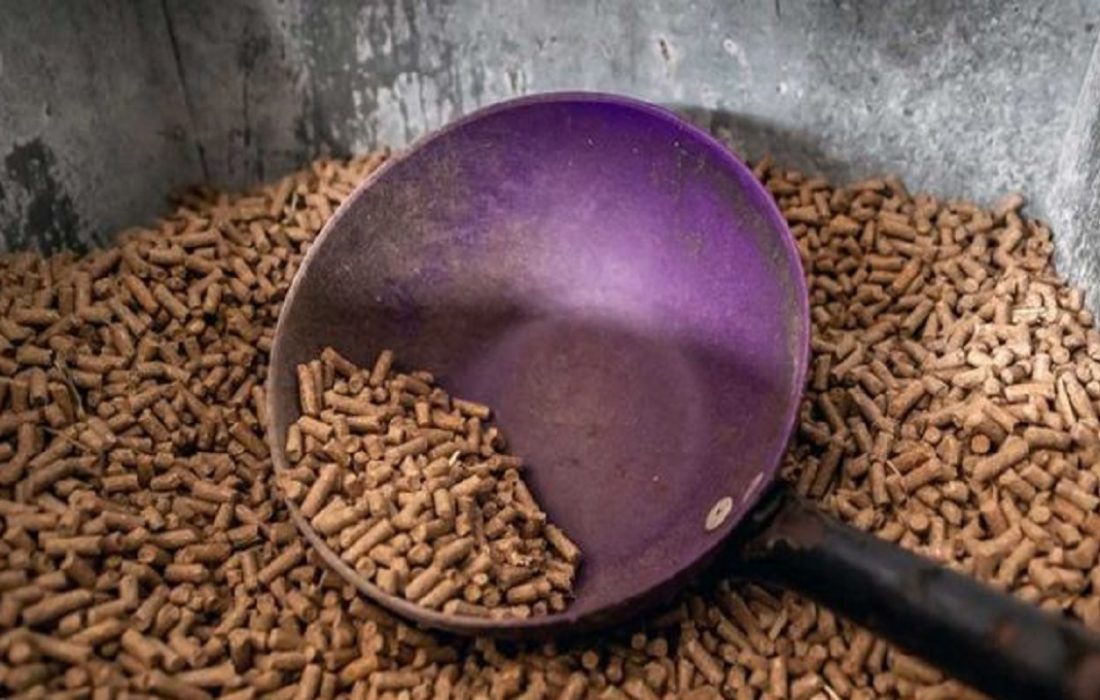 کشف مواد اولیه فاسد خوراک دام و طیور در مریوان