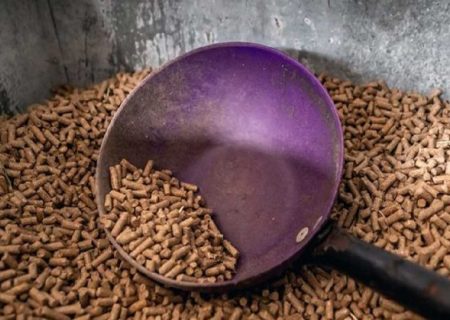 کشف مواد اولیه فاسد خوراک دام و طیور در مریوان