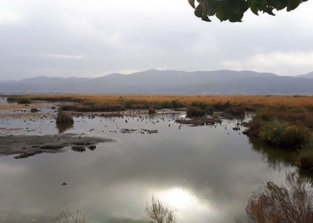 مطالبات متناقض آسیبی برای زریبار