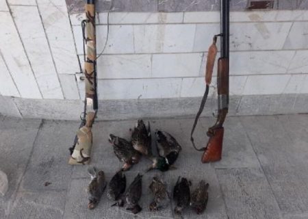دستگیری ۶ شکارچی متخلف در بیجار