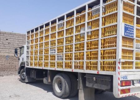 توقیف ۲ محموله مرغ زنده در بیجار