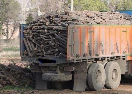 کشف بیش از ۱۰ تن چوب قاچاق در مریوان