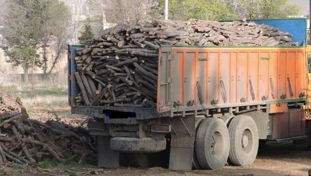 کشف بیش از ۱۰ تن چوب قاچاق در مریوان