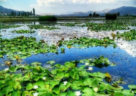 احداث بیش از 4500 چاه آب در محدود زریبار منجر به نابودی دریاچه شده است