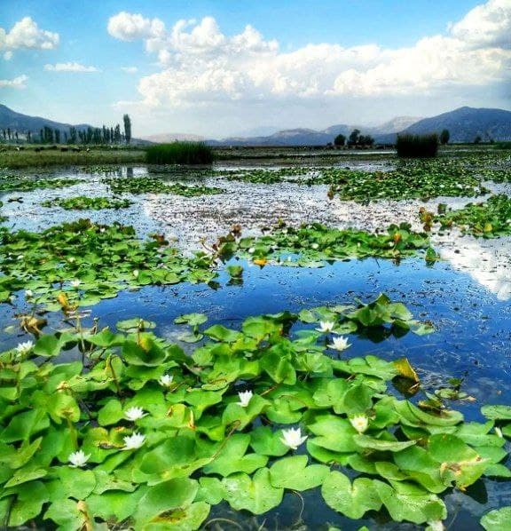 احداث بیش از 4500 چاه آب در محدود زریبار منجر به نابودی دریاچه شده است