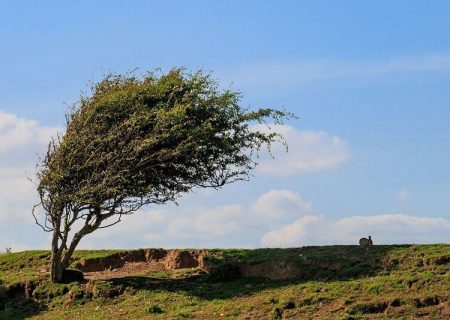 سرعت وزش باد در سقز به ۱۰۸ کیلومتر بر ساعت رسید