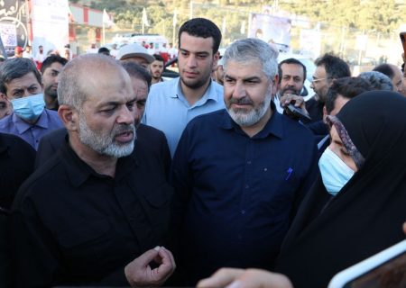 واکنش وزیر کشور به قصد تعرض به بانوی مریوانی/ مرگ این بانو شهادت‌گونه است