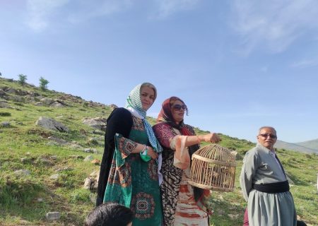 رهاسازی ۲۳ قطعه کبک وحشی در مریوان