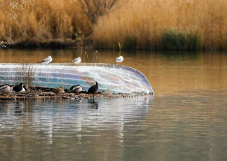 آماده باش محیط‌ زیست کردستان برای مقابله با تخریب طبیعت