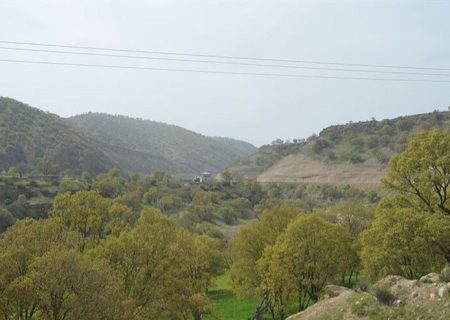 زمین‌خواری عامل انقراض گونه‌های جانوری در کردستان