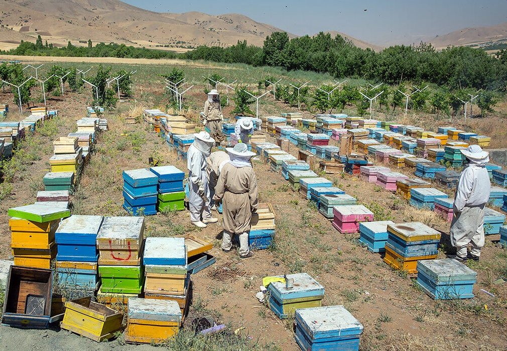 بیش از ۱۰ میلیارد تومان به طرح منظومه روستایی در مریوان اختصاص یافت