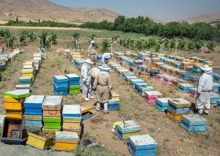 بیش از ۱۰ میلیارد تومان به طرح منظومه روستایی در مریوان اختصاص یافت
