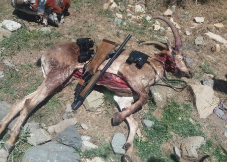 چهار شکارچی کل وحشی در منطقه حفاظت شده بدر و پریشان قروه دستگیر شدند