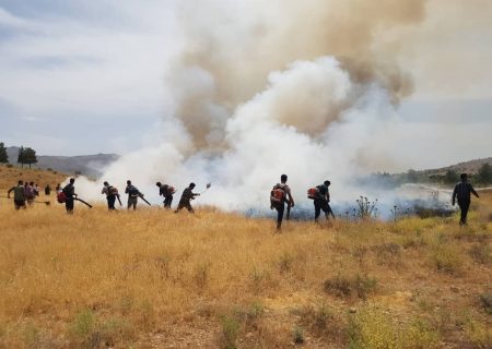 انجمن ها در حفاظت از عرصه‌های طبیعی کردستان جدی‌تر ورود کنند