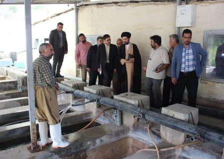 سستی مدیران در زمینه رفع موانع تولید قابل قبول نیست