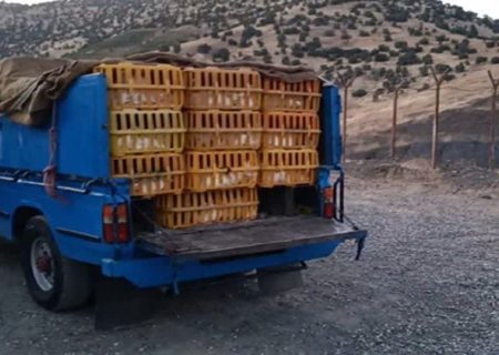 خودرو حامل مرغ زنده بدون مجوز در مریوان توقیف شد