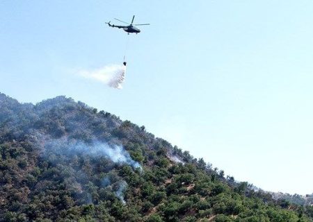 پایگاه‌های اطفای هوایی آتش در کشور راه‌اندازی شود