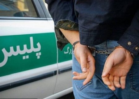 عاملان ضرب و شتم یک تبعه کشور همسایه در کردستان توسط پلیس دستگیر شدند