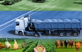 بیش از هزار تن فرآورده خام دامی از کردستان صادر شد