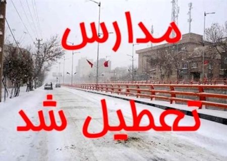 برف برخی مدارس کردستان را غیرحضوری کرد