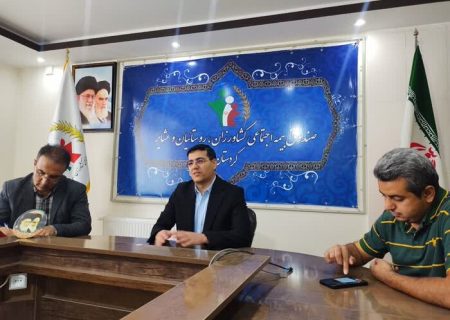 زنان روستایی دارای سه فرزند به بالا در کردستان رایگان بیمه می شوند