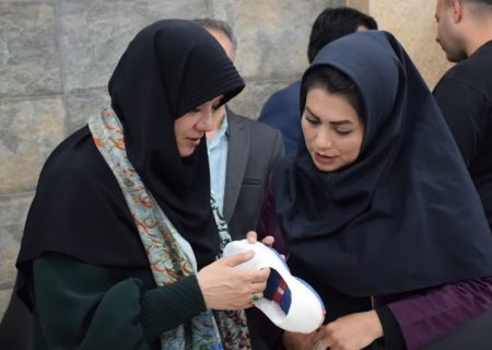 تولیدات صنایع‌دستی کردستان برندسازی می‌شود