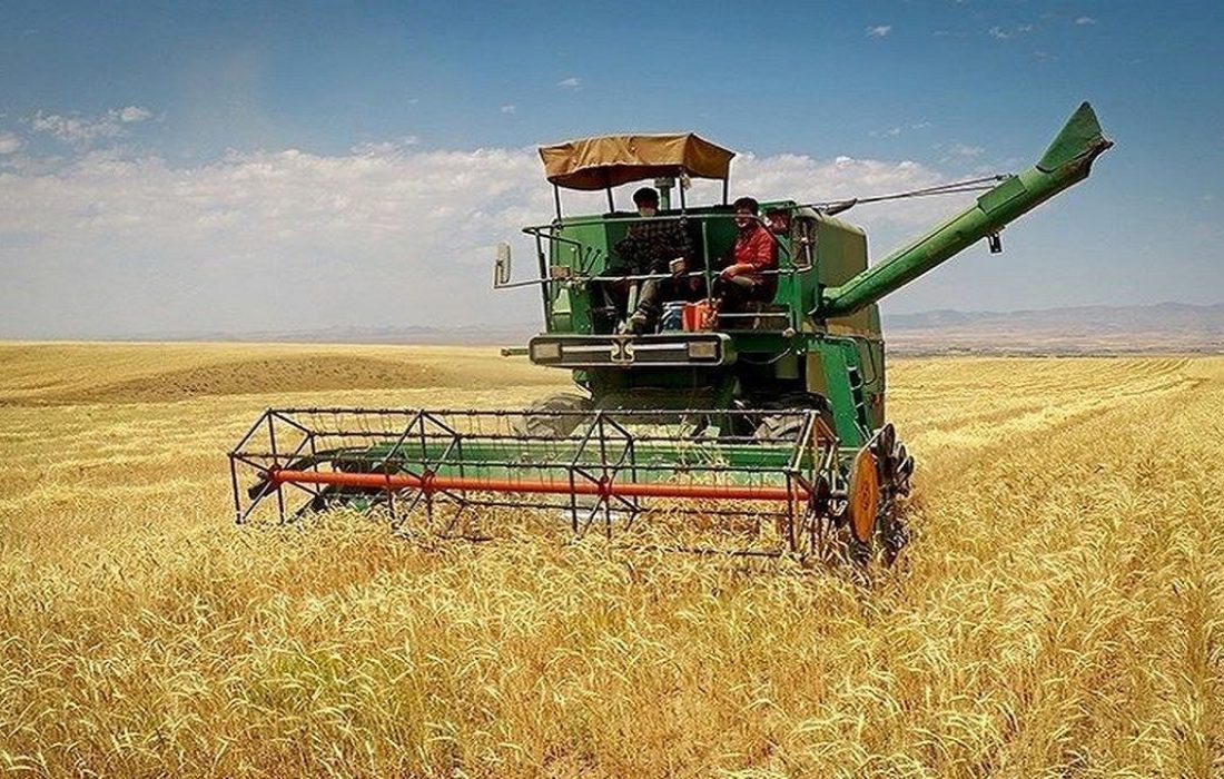 آغاز برداشت خوشه های طلایی از مزارع کردستان