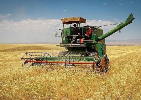 آغاز برداشت خوشه های طلایی از مزارع کردستان