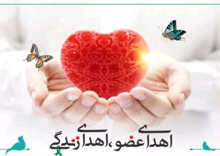 بیمار مرگ مغزی بیجاری به چند بیمار جان دوباره بخشید