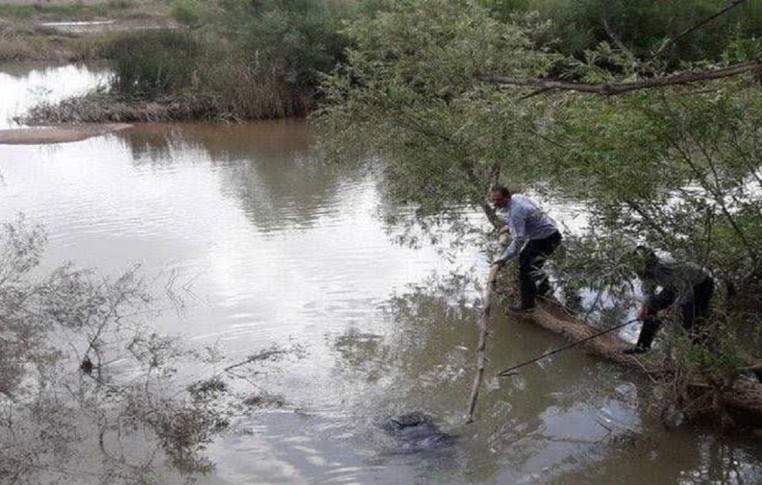 امسال ۶ کردستانی در منابع آبی غرق شدند