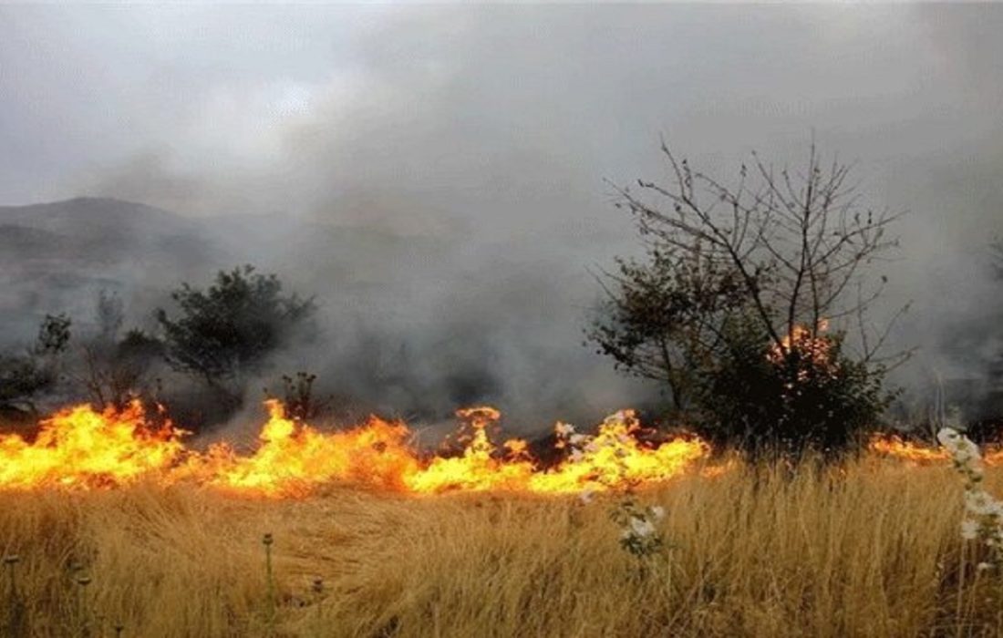 ۹۶۲ هکتار جنگل و مرتع کردستان درآتش‌ سوخت