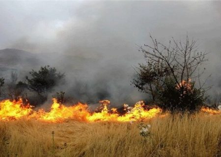 ۹۶۲ هکتار جنگل و مرتع کردستان درآتش‌ سوخت