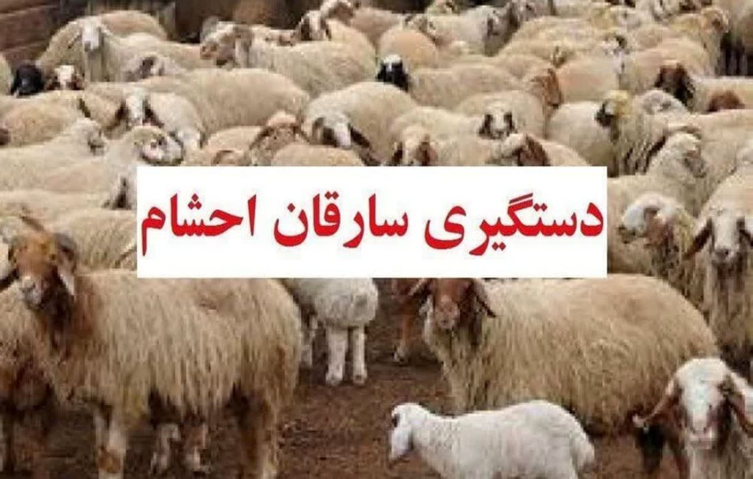 مریوان جای امنی برای سارقان نیست/ باند سارقان احشام در مریوان دستگیر شدند