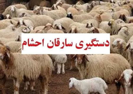 مریوان جای امنی برای سارقان نیست/ باند سارقان احشام در مریوان دستگیر شدند