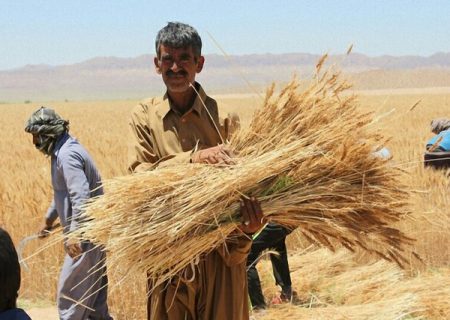 ۳۰ هزار میلیارد ریال به ‌حساب‌ کشاورزان کردستانی واریز شده است