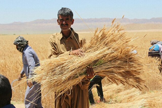 ۳۰ هزار میلیارد ریال به ‌حساب‌ کشاورزان کردستانی واریز شده است