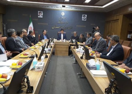 مشکلات بازارچه های مرزی در آینده نزدیک حل می شود