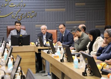 بنیاد زبان و ادبیات کردی راه‌اندازی می‌شود